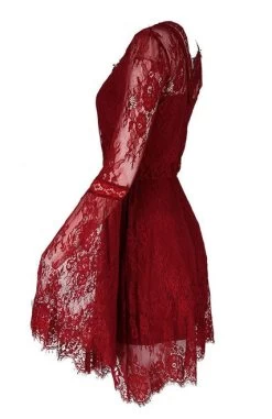 Restyle Gothic Eyelash Lace Dress: Burgundy - Small 22 Restyle Gothic Eyelash Lace Dress: Burgundy - Small -Fashion Apparel eng pl Gothic Eyelash Lace Dress Burgundy 2135 2 17007.1605020689